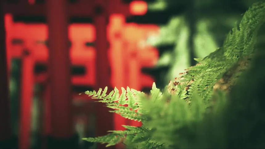 Скриншот 1 к игре Explore Fushimi Inari