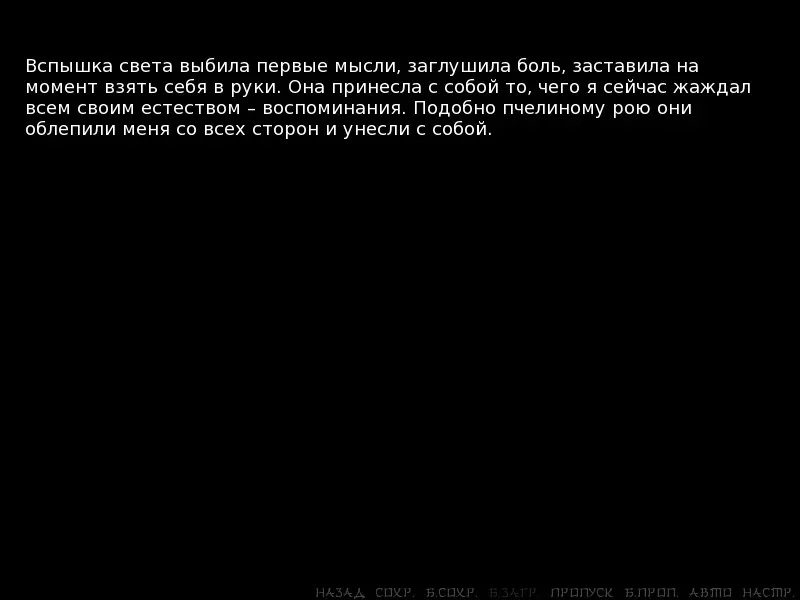 Скриншот 1 к игре Japocaliptyca/ Япокалиптика