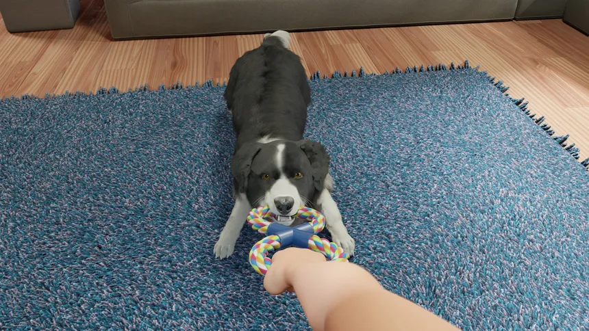 Скриншот 6 к игре Dog Trainer