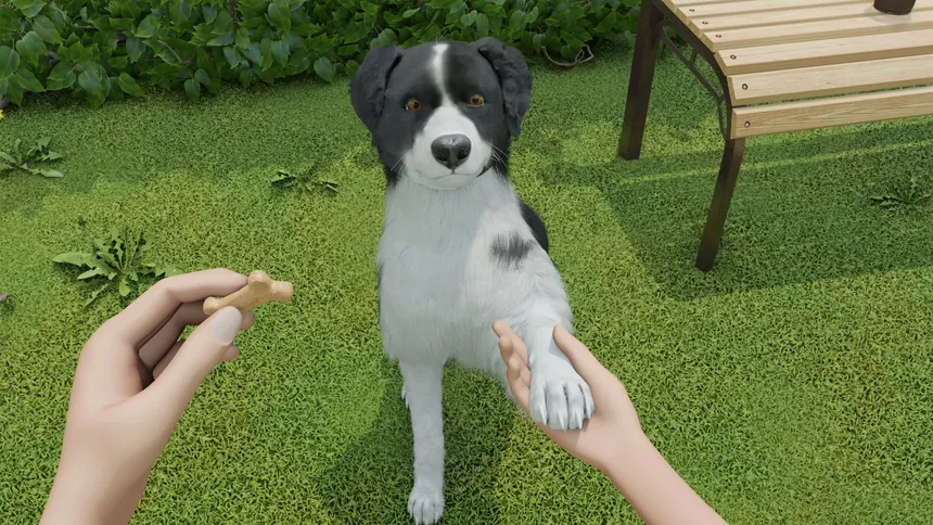 Скриншот 7 к игре Dog Trainer