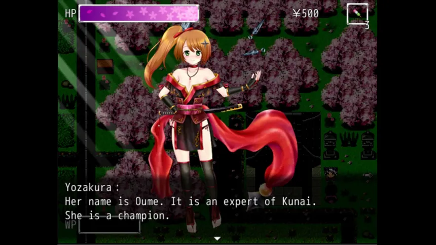 Скриншот 7 к игре Kunoichi Ninja