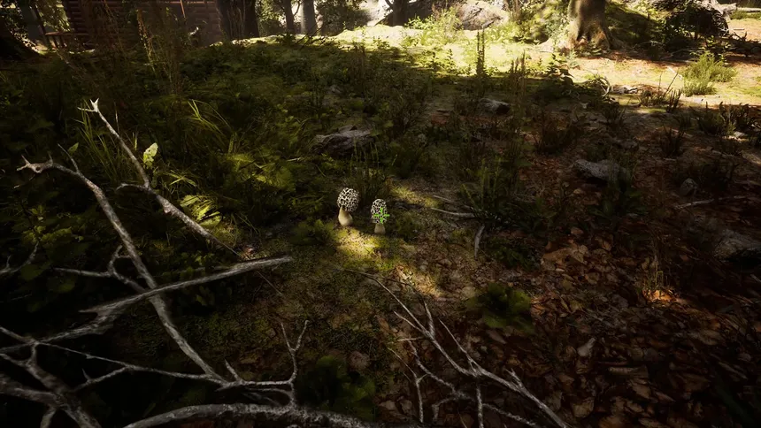 Скриншот 7 к игре Morels: The Hunt
