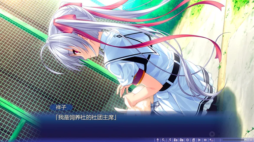 Скриншот 5 к игре 追忆夏色年华