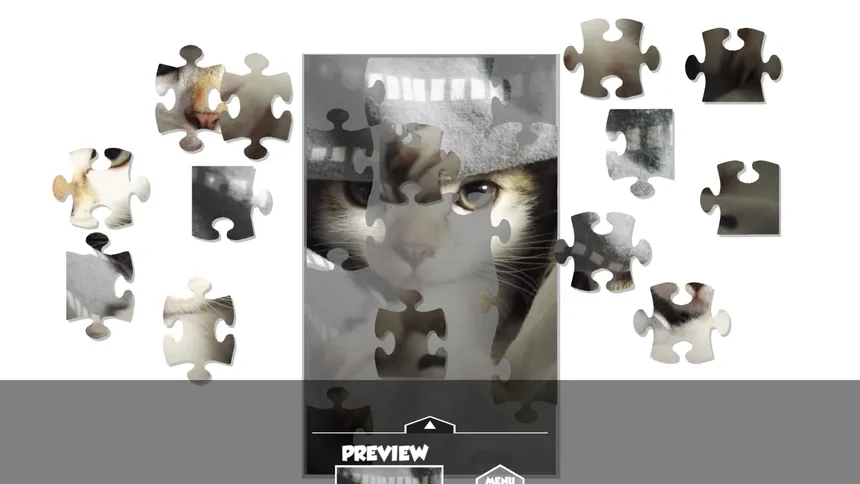 Скриншот 3 к игре Puzzlection