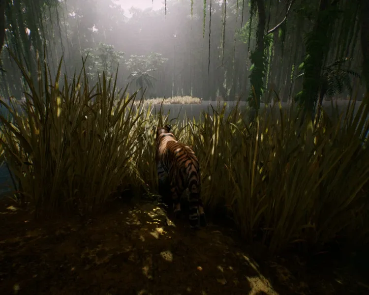Скриншот 5 к игре The Savana