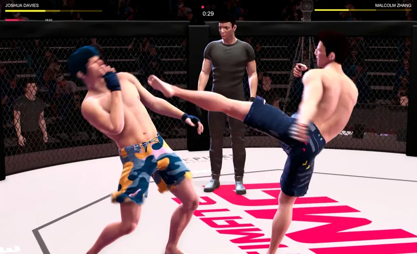 Скриншот 1 к игре Ultimate MMA