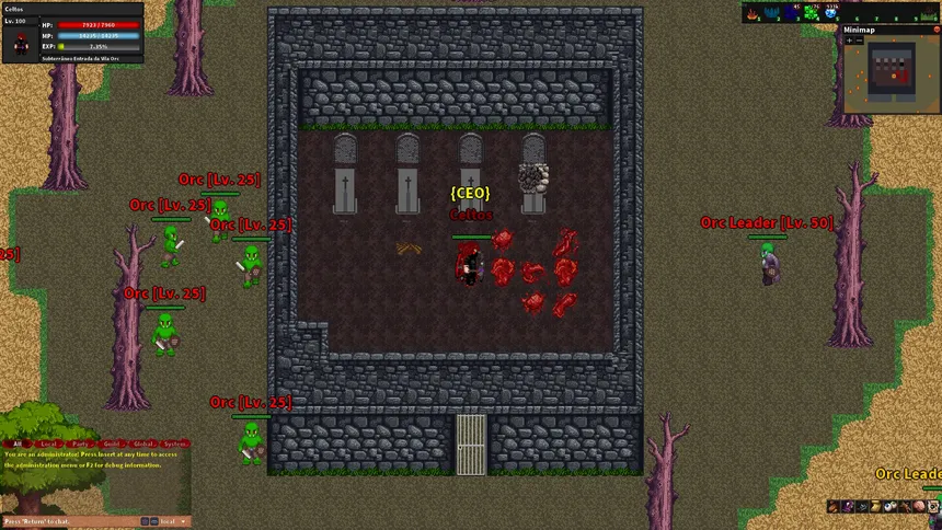 Скриншот 3 к игре Rebornia - MMORPG 2D