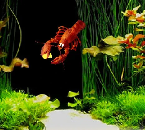 Скриншот 3 к игре Aquarium Life