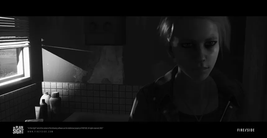 Скриншот 4 к игре In Plain Sight