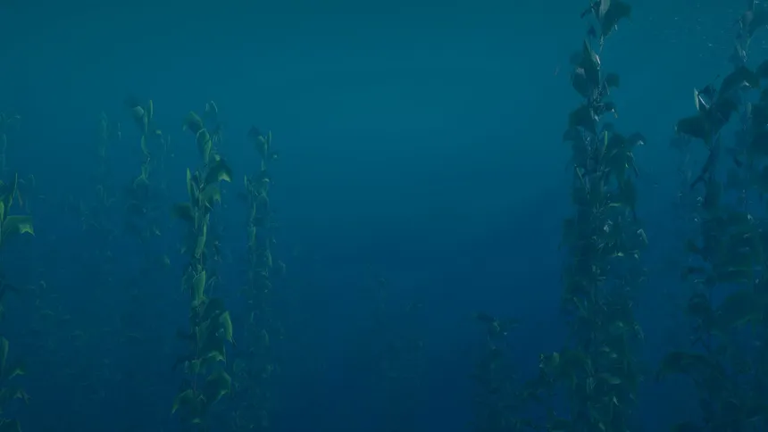 Скриншот 7 к игре Born of The Wild: The Depths