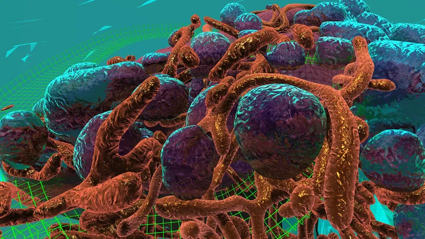 Скриншот 2 к игре Journey to the Centre of the Cell