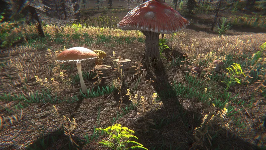 Скриншот 8 к игре Mushroom Challenge