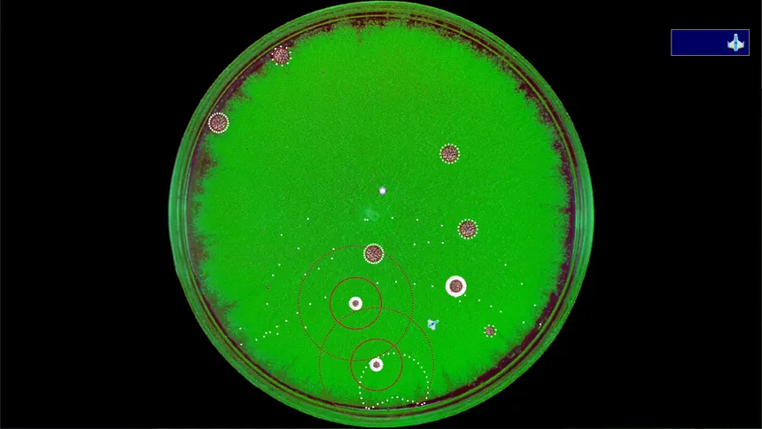 Скриншот 5 к игре Coronavirus - Nano Force