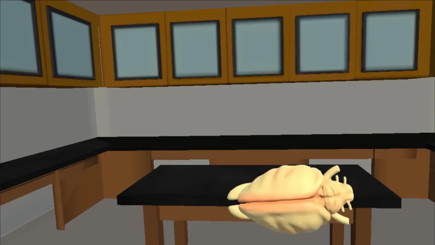 Скриншот 4 к игре Training Lab