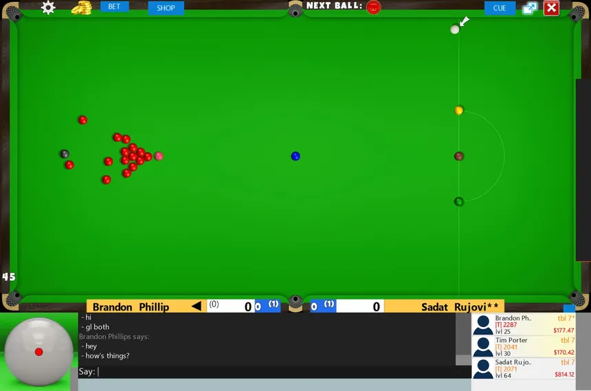 Скриншот 1 к игре Flash Snooker Game
