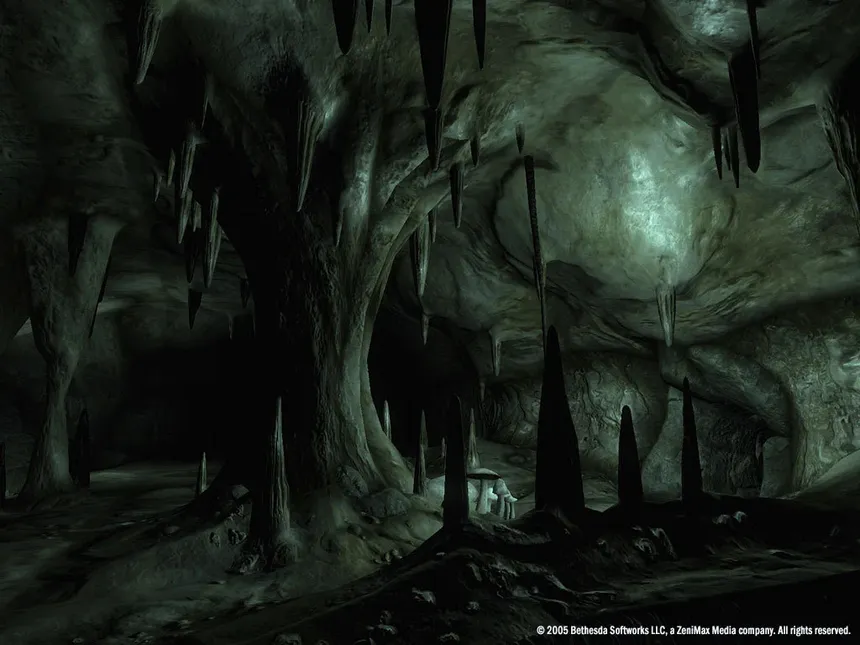 Скриншот 4 к игре The Elder Scrolls IV: Oblivion Game of the Year Edition Deluxe (2009)