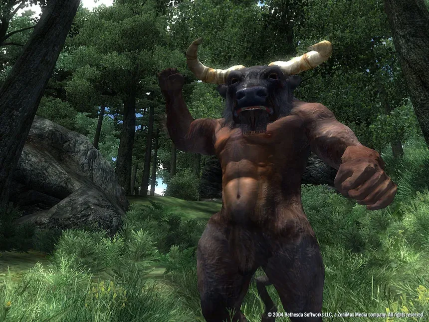 Скриншот 7 к игре The Elder Scrolls IV: Oblivion Game of the Year Edition Deluxe (2009)