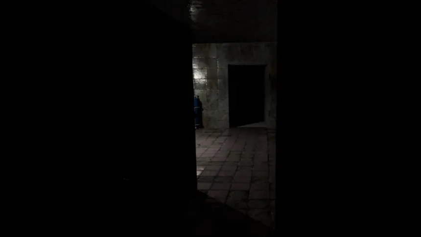 Скриншот 1 к игре Hanefield Asylum