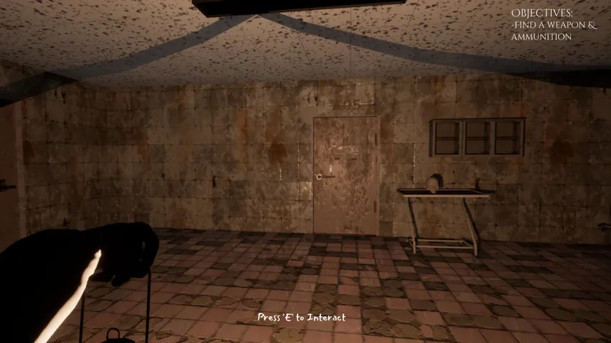 Скриншот 3 к игре Hanefield Asylum