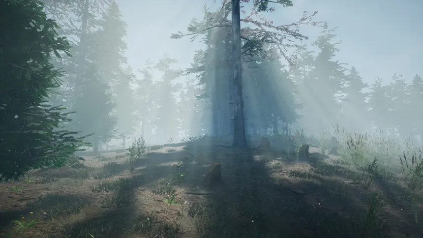 Скриншот 1 к игре Mushroom Picker Simulator