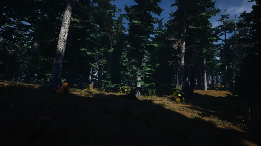 Скриншот 5 к игре Mushroom Picker Simulator