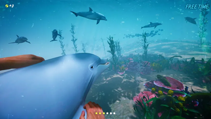 Скриншот 1 к игре Dolphin Trainer VR
