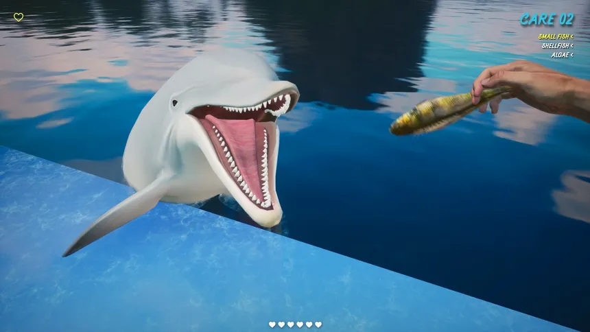 Скриншот 3 к игре Dolphin Trainer VR