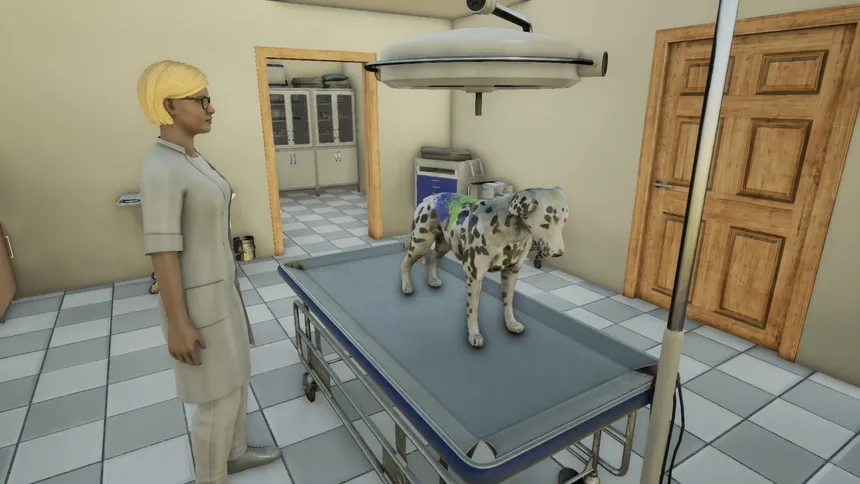 Скриншот 2 к игре Animal Doctor