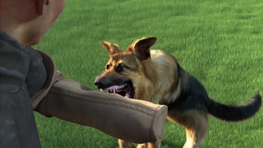 Скриншот 1 к игре Animal Trainer
