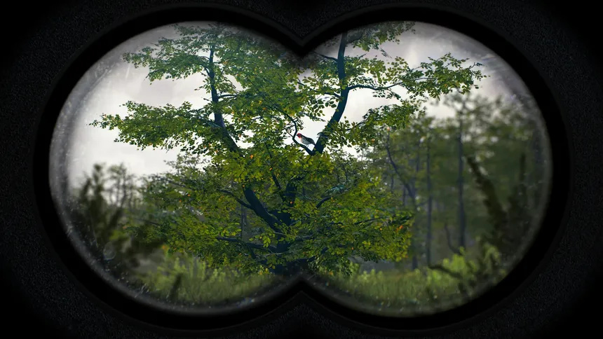 Скриншот 3 к игре Birding Simulator: Bird Photographer