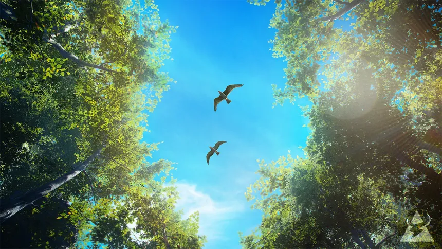 Скриншот 4 к игре Birding Simulator: Bird Photographer