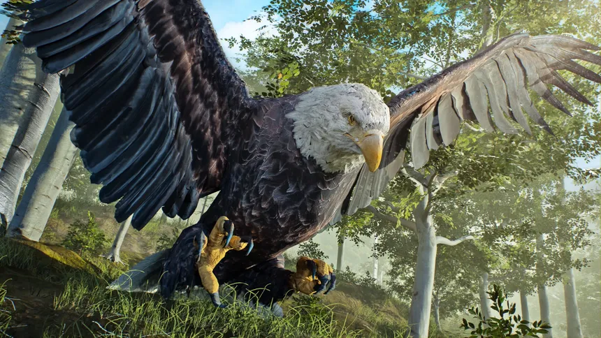 Скриншот 5 к игре Birding Simulator: Bird Photographer