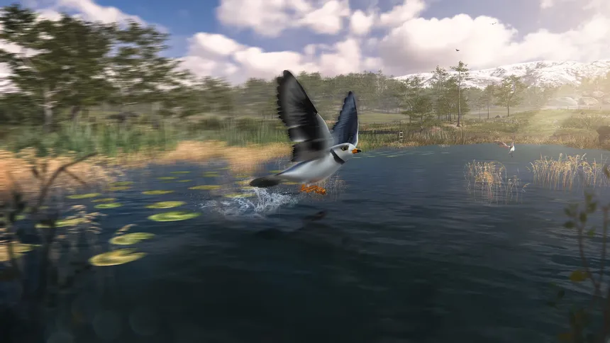 Скриншот 7 к игре Birding Simulator: Bird Photographer