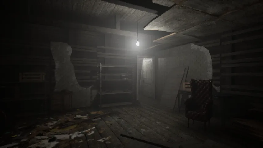 Скриншот 1 к игре The Door in the Basement