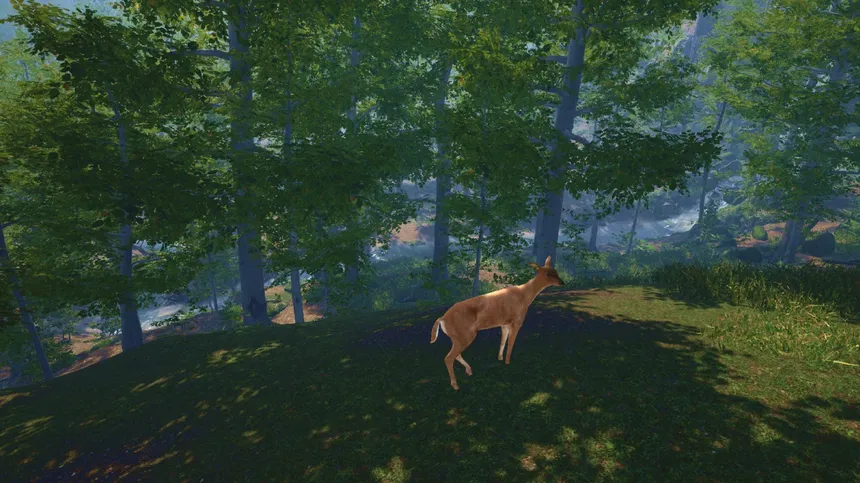 Скриншот 4 к игре Big Cat Rescue VR