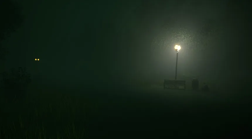 Скриншот 6 к игре Hello From Darkness