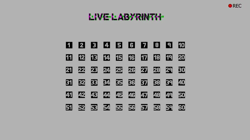 Скриншот 1 к игре Live Labyrinth