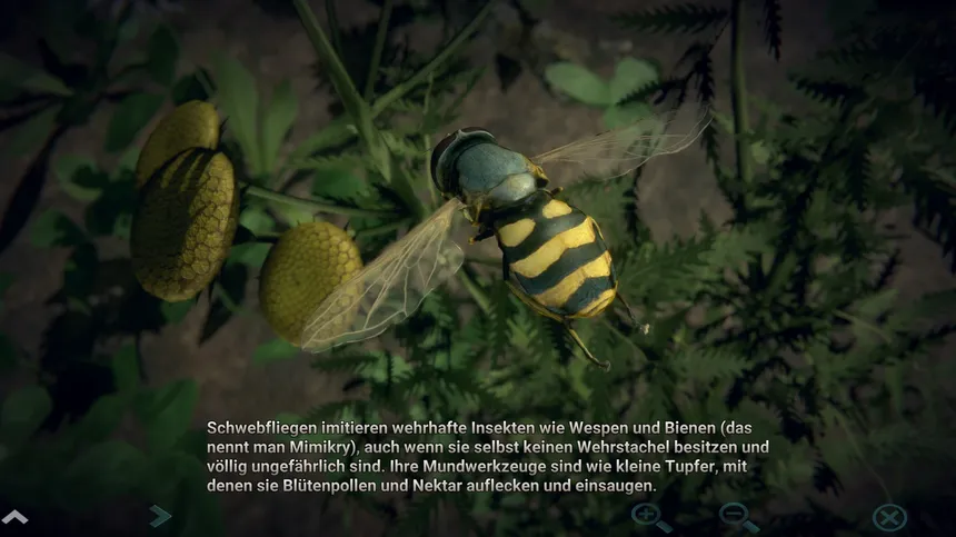 Скриншот 7 к игре Insect Worlds