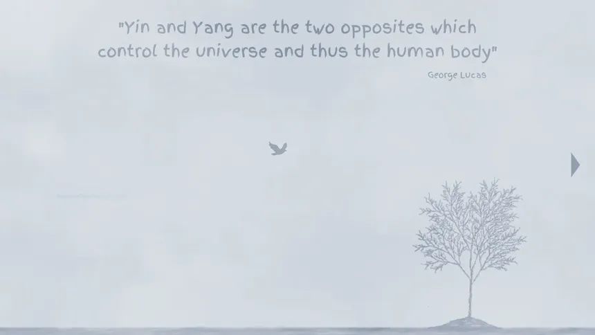 Скриншот 8 к игре Yin Yang