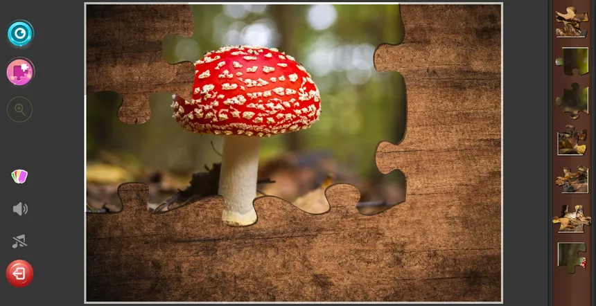 Скриншот 3 к игре Gnome Jigsaw Puzzles
