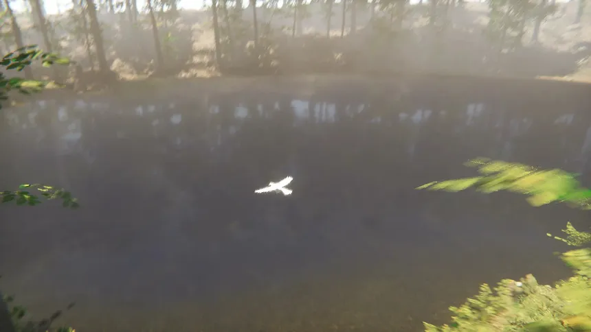 Скриншот 4 к игре Bird