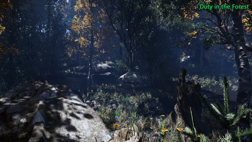 Скриншот 5 к игре Duty in the Forest