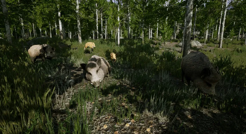 Скриншот 1 к игре Territory