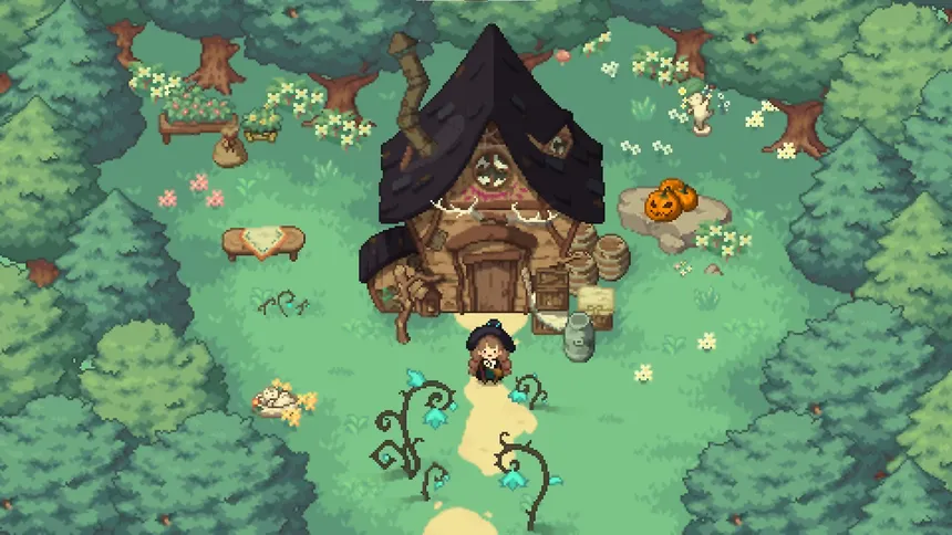 Скриншот 1 к игре Little Witch in the Woods