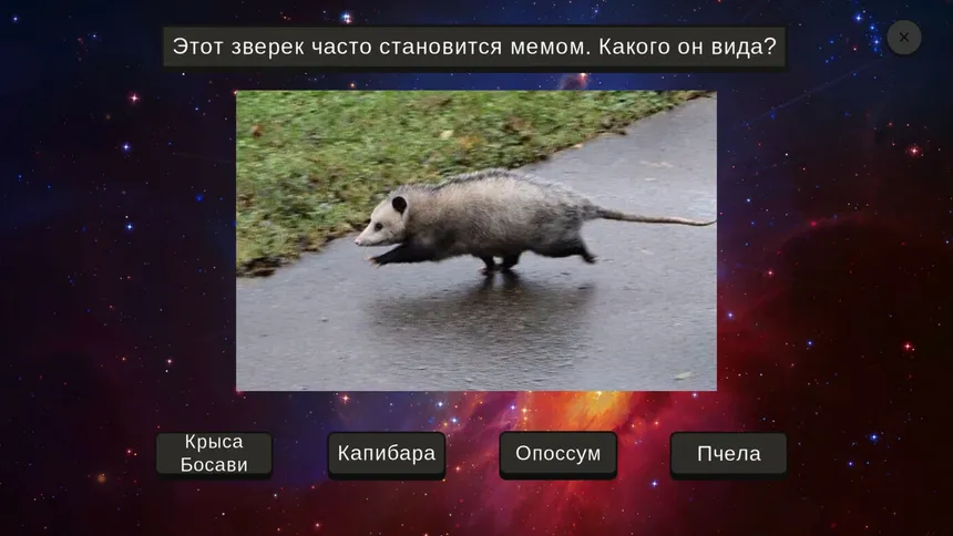 Скриншот 6 к игре МЕМОЛОГИЯ