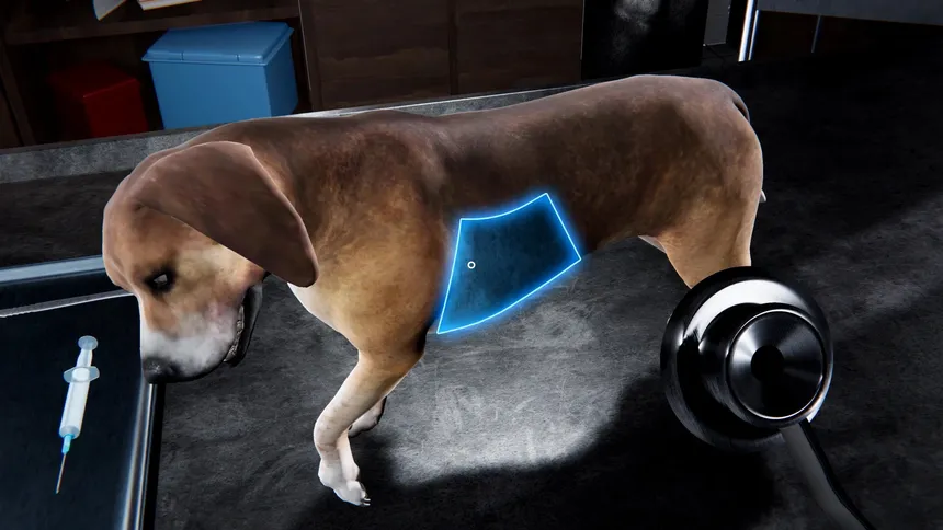 Скриншот 2 к игре Veterinary Clinic Simulator