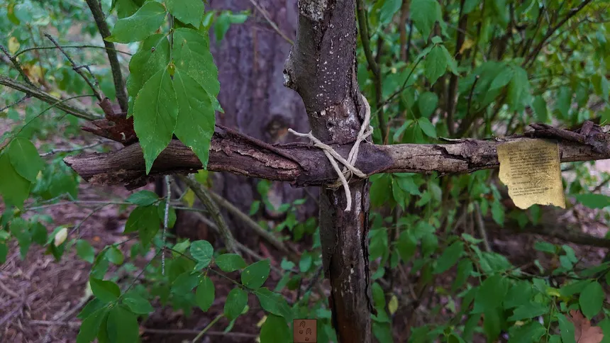 Скриншот 8 к игре Forgotten Forest: Eye of the Great One
