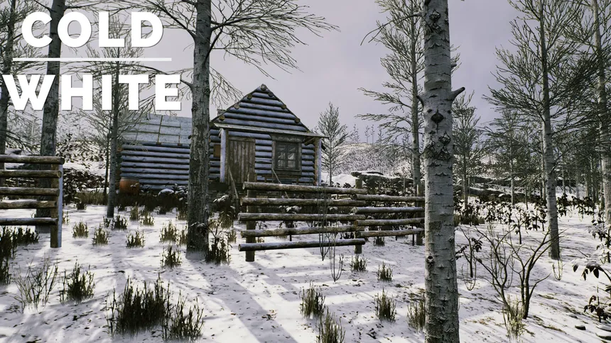Скриншот 8 к игре The Cold White