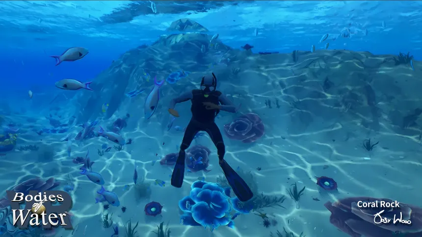 Скриншот 2 к игре Bodies of Water VR