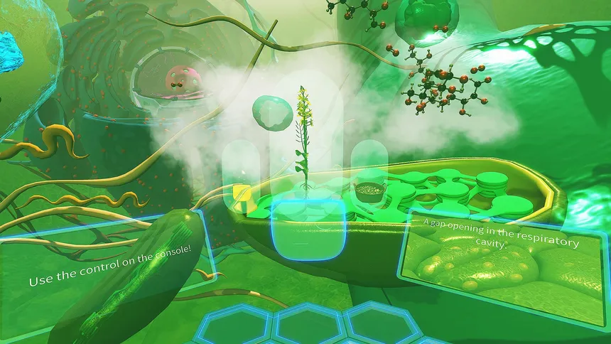 Скриншот 8 к игре VR Plant Journey